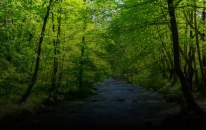 Atteindre une société harmonisée avec la nature