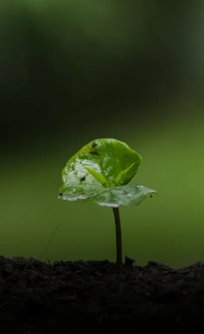 Faire progresser notre vision environnementale et nos objectifs environnementaux à long terme